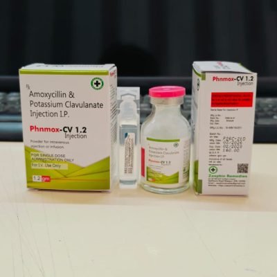 WhatsApp Image 2026-04-04 at 2.17.14 PM (1)